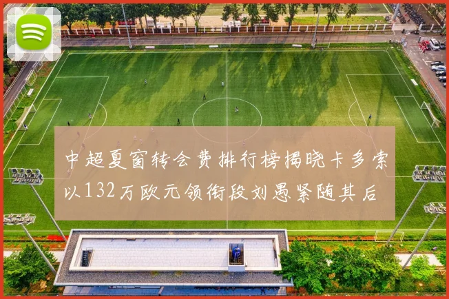中超夏窗转会费排行榜揭晓卡多索以132万欧元领衔段刘愚紧随其后