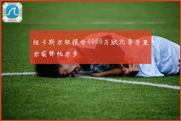 纽卡斯尔联报价4000万欧元争夺里尔前锋帕尔多